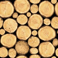 Wilderness Lodge-H Fine Art Print