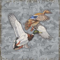 Wilderness Lodge-Q2 Fine Art Print