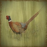 Wilderness Lodge-Q7 Fine Art Print