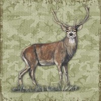 Wilderness Lodge-Q8 Framed Print