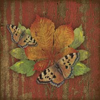 Wilderness Lodge-Q9 Framed Print