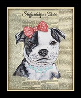 Staffordshire Terrier Framed Print