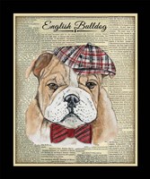English Bulldog Fine Art Print