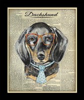 Dachshund Fine Art Print