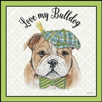 Bulldog Framed Print
