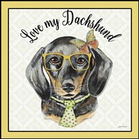 Dachshund Framed Print
