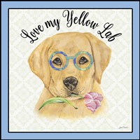 Yellow Lab Framed Print