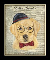 Yellow Labrador Framed Print