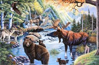North American Wildlife Fine Art Print