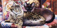 Raja and Mulan Fine Art Print