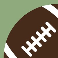 Football Close-ups - Ball Fine Art Print