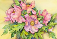 Peonies in Early Light Fine Art Print
