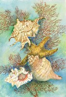 Shells in the Deep Green Sea Fine Art Print
