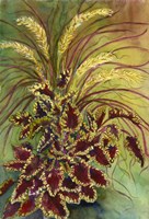 Coleus and Grasses Fine Art Print