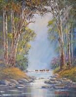 Misty Morning Barrington Fine Art Print