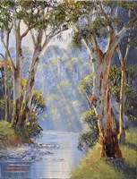 Riverside Gums   Tumut Fine Art Print