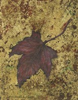 Maple Leaf Fine Art Print
