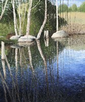 Reflections in a Blue Pond Fine Art Print