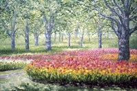 Tranquility Fine Art Print