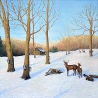 Winter Cabin Fine Art Print