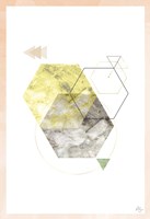 Polys Gone Fine Art Print