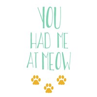 You Had Me At Meow Fine Art Print