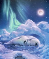 Harmony Baby Seals Fine Art Print