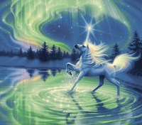 Majestic Night Fine Art Print