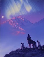 Moon Song Fine Art Print