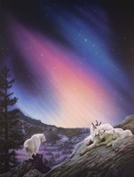 Peaceful Night Fine Art Print