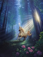 Secret Forest Fine Art Print