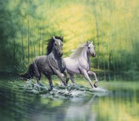 Spring Morning Fine Art Print