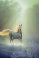 Touched By The Aurora Fine Art Print