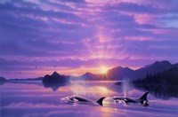 Tranquility Bay Framed Print