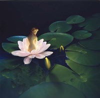 Waterlilies Fine Art Print