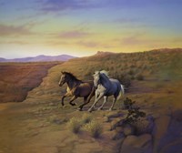 Western Skies Fine Art Print