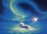 Winter Wonder 1 Fine Art Print