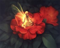 Night  Light - C Fine Art Print