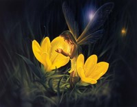 Night Harvest - C Fine Art Print