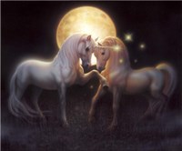 Moondance Fine Art Print