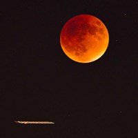 Moonlight Flight Fine Art Print