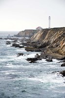 Point Arena 2 Fine Art Print