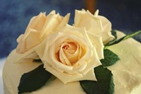 Wedding Cake Fine Art Print