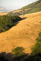 Dinner Time Fine Art Print