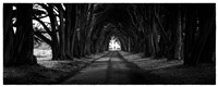 Light at the End of the Tunnel Fine Art Print