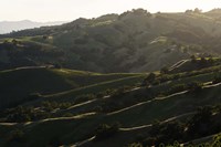 Rim Light Fine Art Print