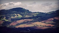 Sonoma Hillside Shadows Fine Art Print
