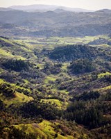 Vista Point Fine Art Print