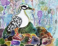 Rainbow Rock Little Heron Fine Art Print