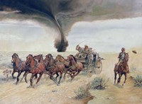 Run for Cover Fine Art Print